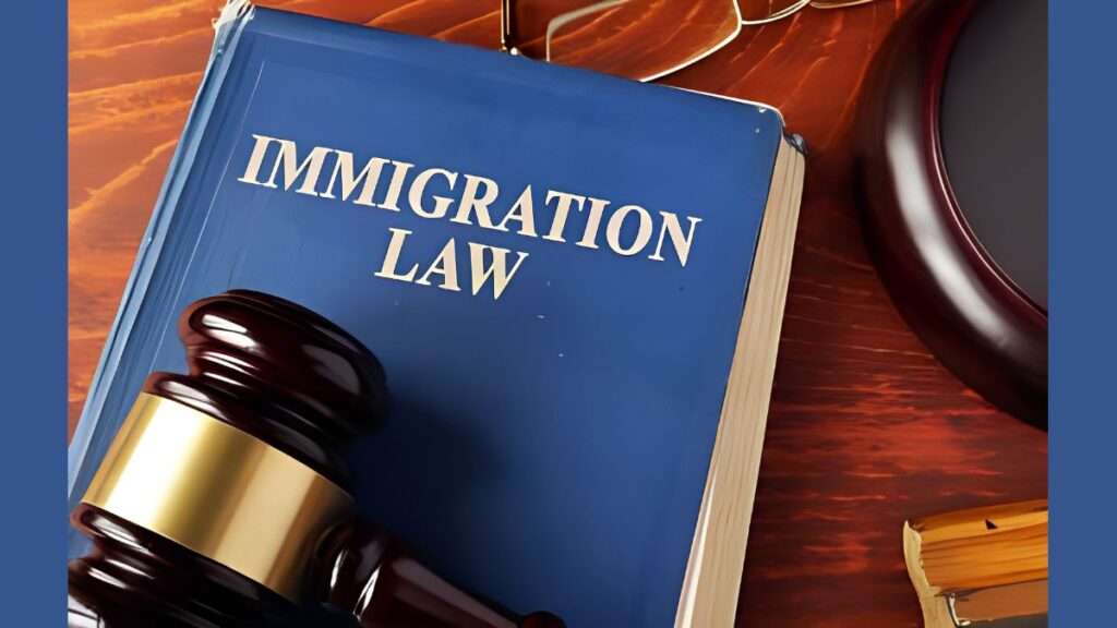 Immigration Lawyer: Tips For Navigating The Process