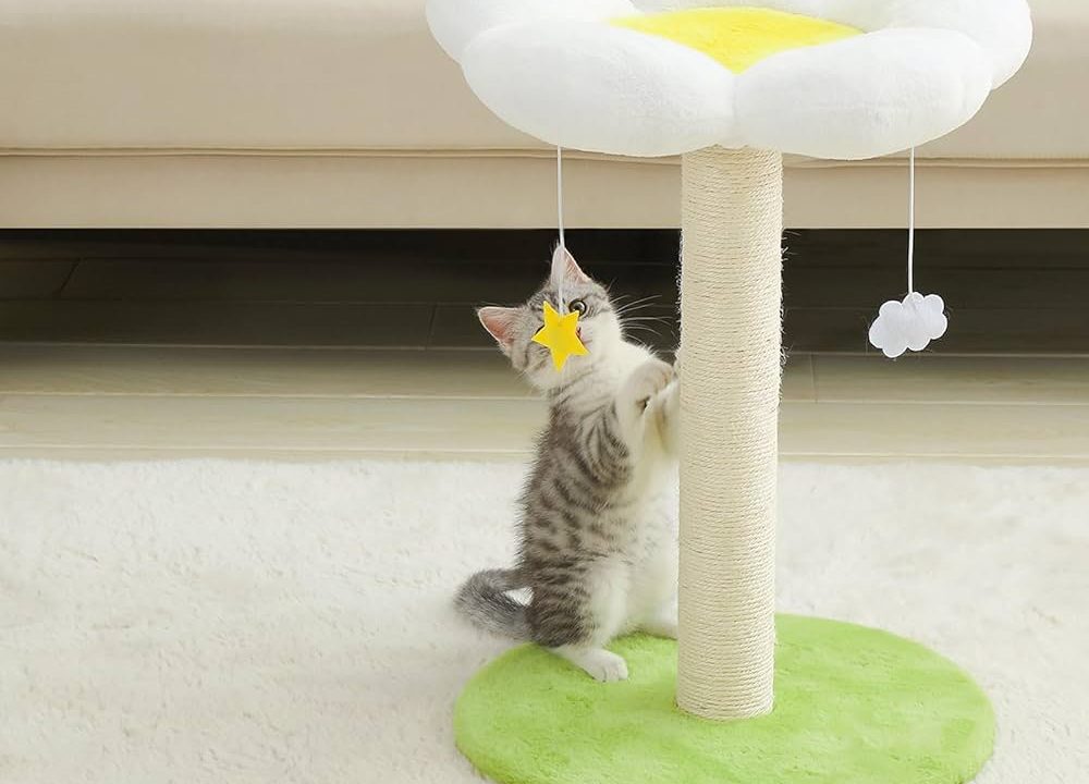 How To Make A Natural Cat Scratching Tree Diy