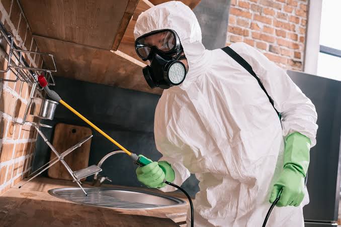 Easy Pest Control Tips For A Bug-Free Home